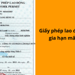 Giấy phép lao động được gia hạn mấy lần