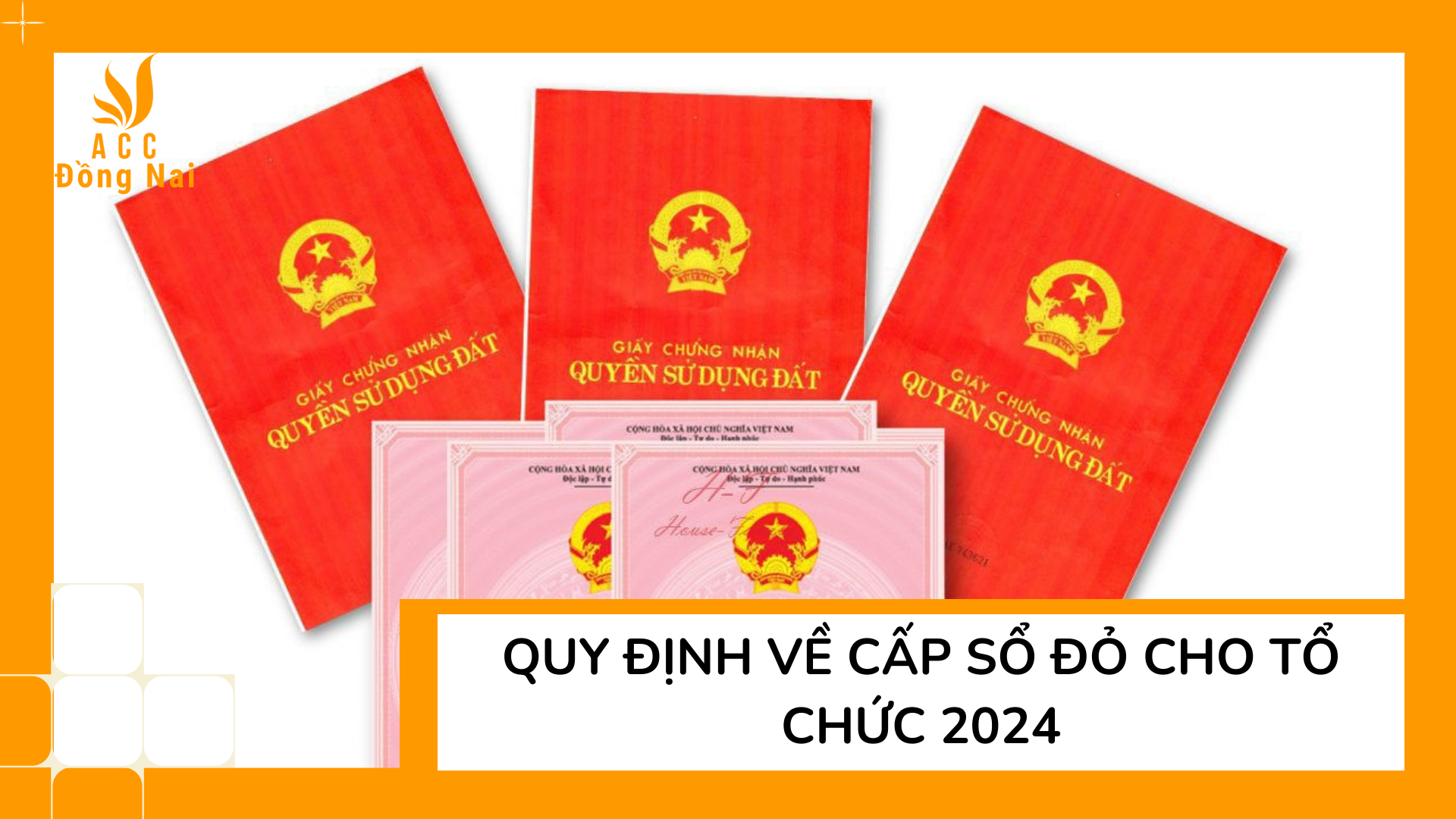 Quy định về cấp sổ đỏ cho tổ chức 2024