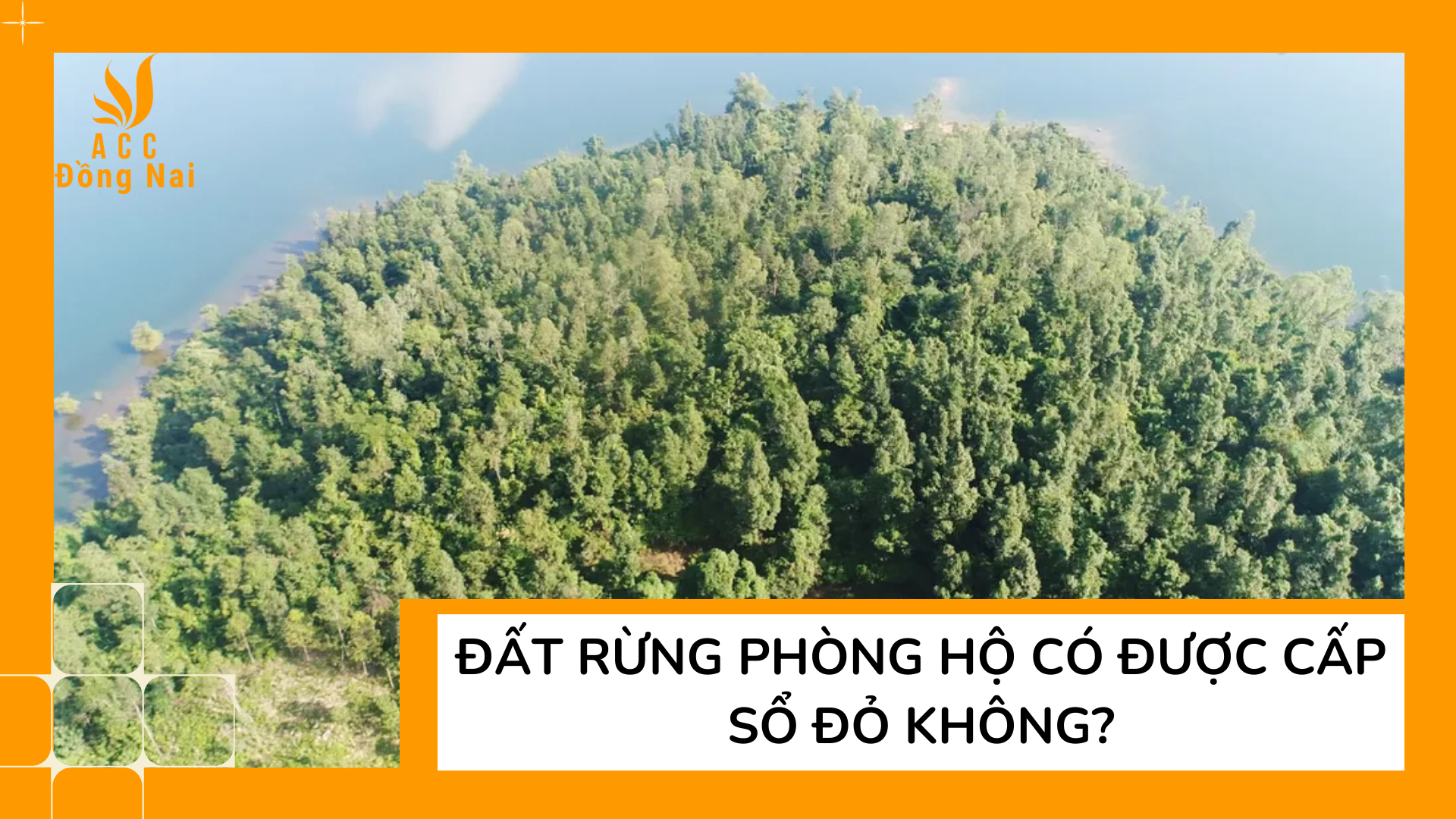 Đất rừng phòng hộ có được cấp sổ đỏ không?