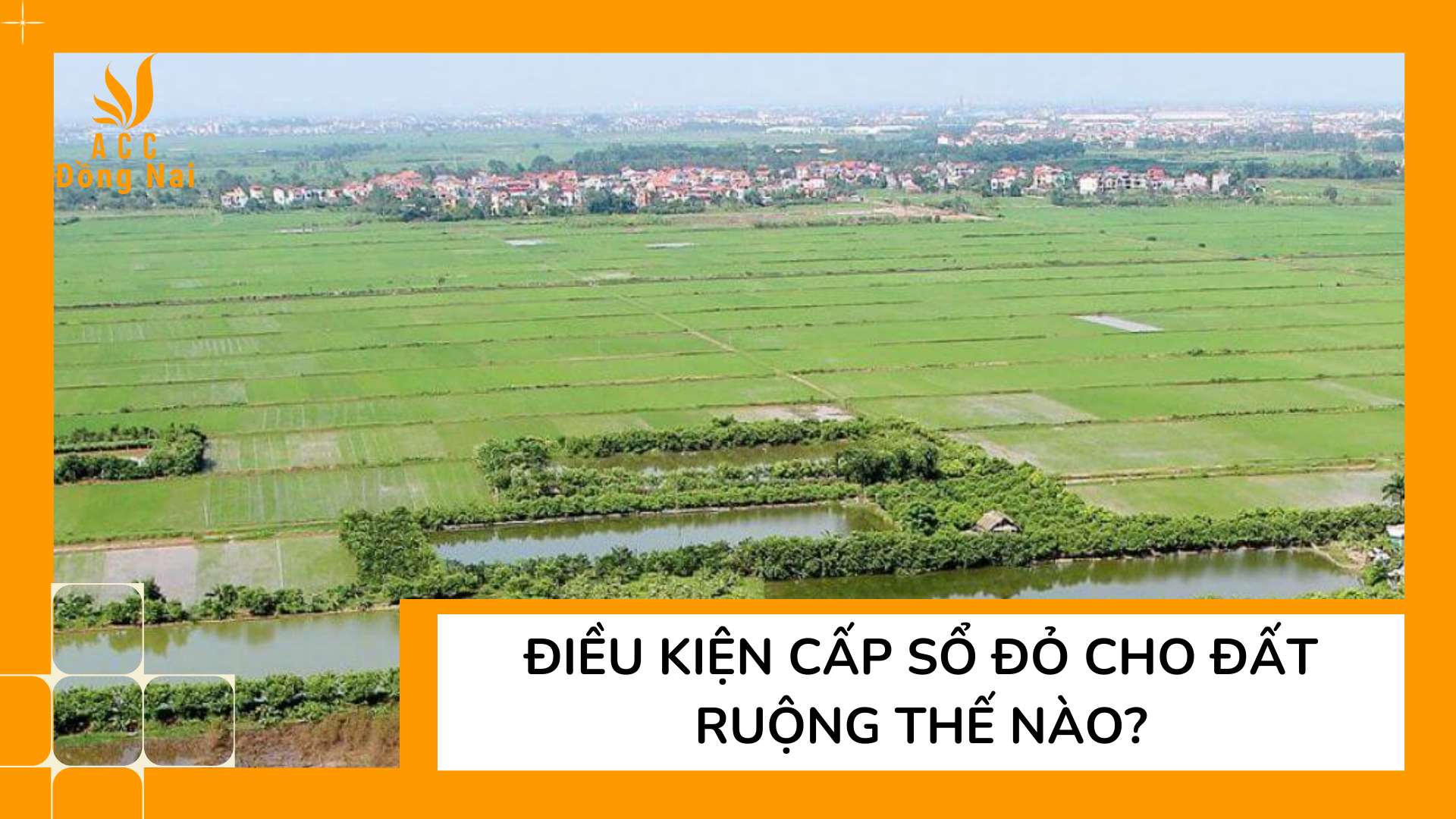 Điều kiện cấp Sổ đỏ cho đất ruộng thế nào?