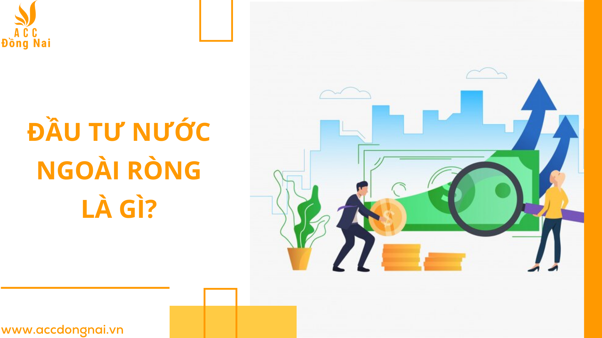 Đầu tư nước ngoài ròng là gì?