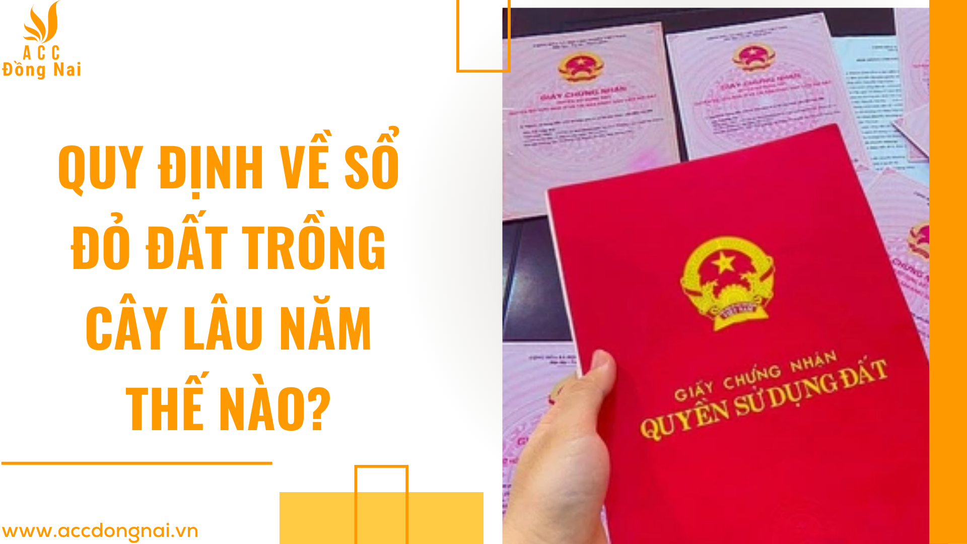 Quy định về sổ đỏ đất trồng cây lâu năm thế nào?