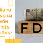 Nhà đầu tư nước ngoài góp vốn bằng tiền mặt không?