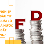 Doanh nghiệp có vốn đầu tư nước ngoài có được Nhà nước giao đất không?