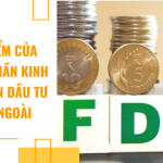 Đặc điểm của thành phần kinh tế có vốn đầu tư nước ngoài