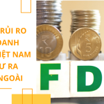 Những Rủi Ro Khi Doanh Nghiệp Việt Nam Đầu Tư Ra Nước Ngoài