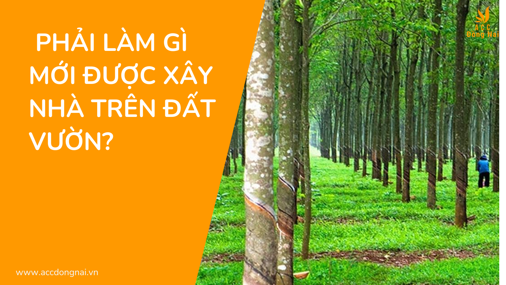 Phải làm gì mới được xây nhà trên đất vườn?