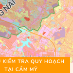 Dịch vụ kiểm tra quy hoạch tại Cẩm Mỹ