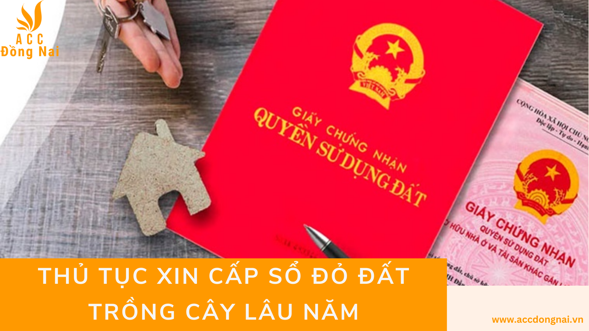 Thủ tục xin cấp sổ đỏ đất trồng cây lâu năm