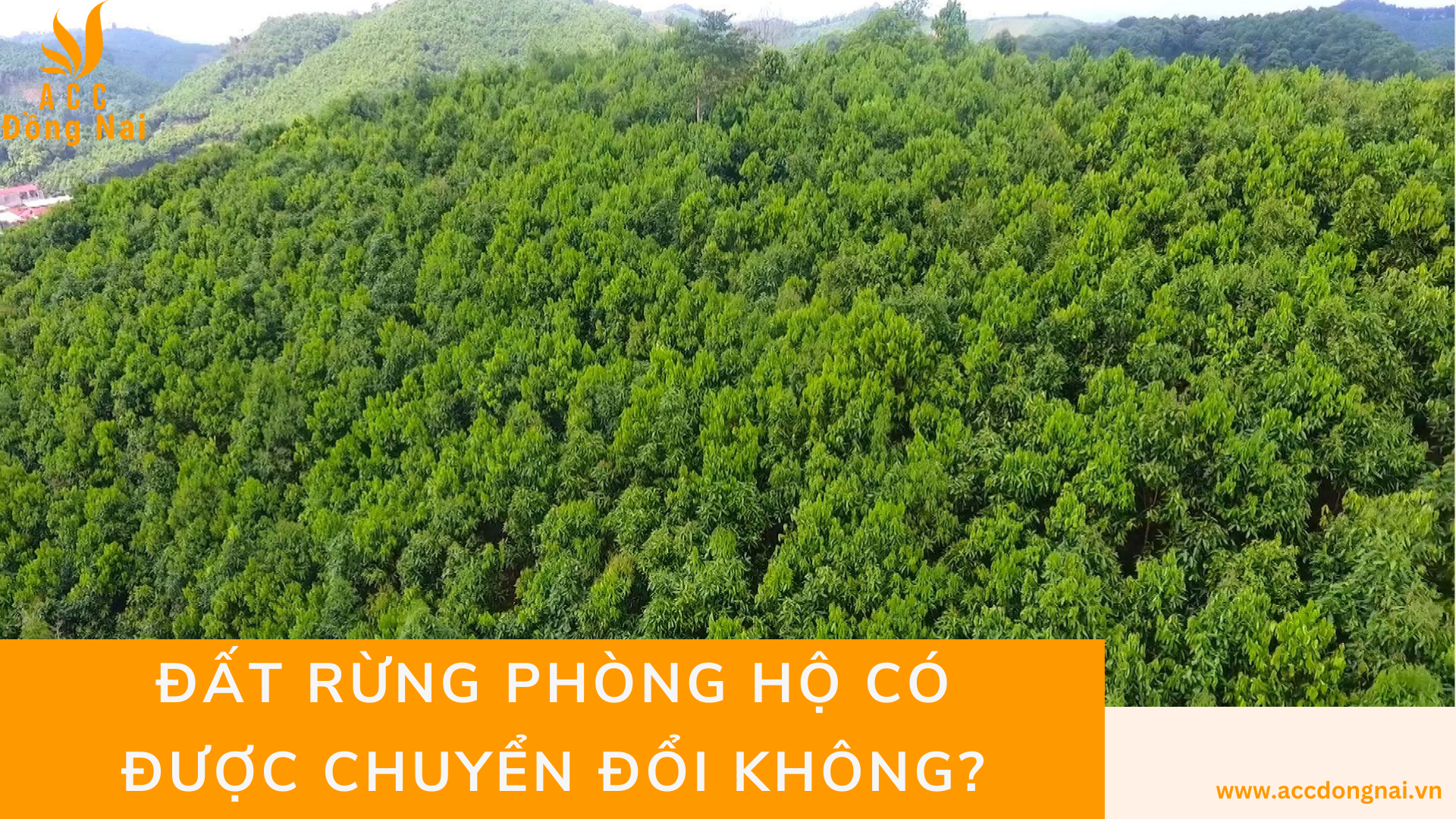 Đất rừng phòng hộ có được chuyển đổi không?