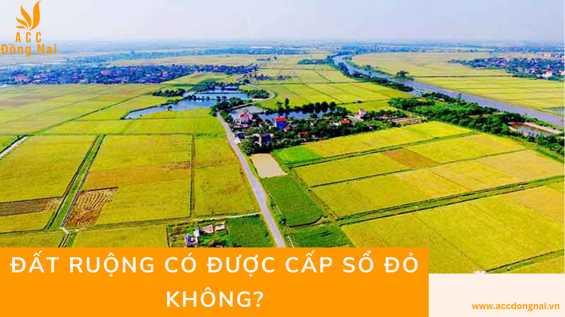 Đất ruộng có được cấp sổ đỏ không?