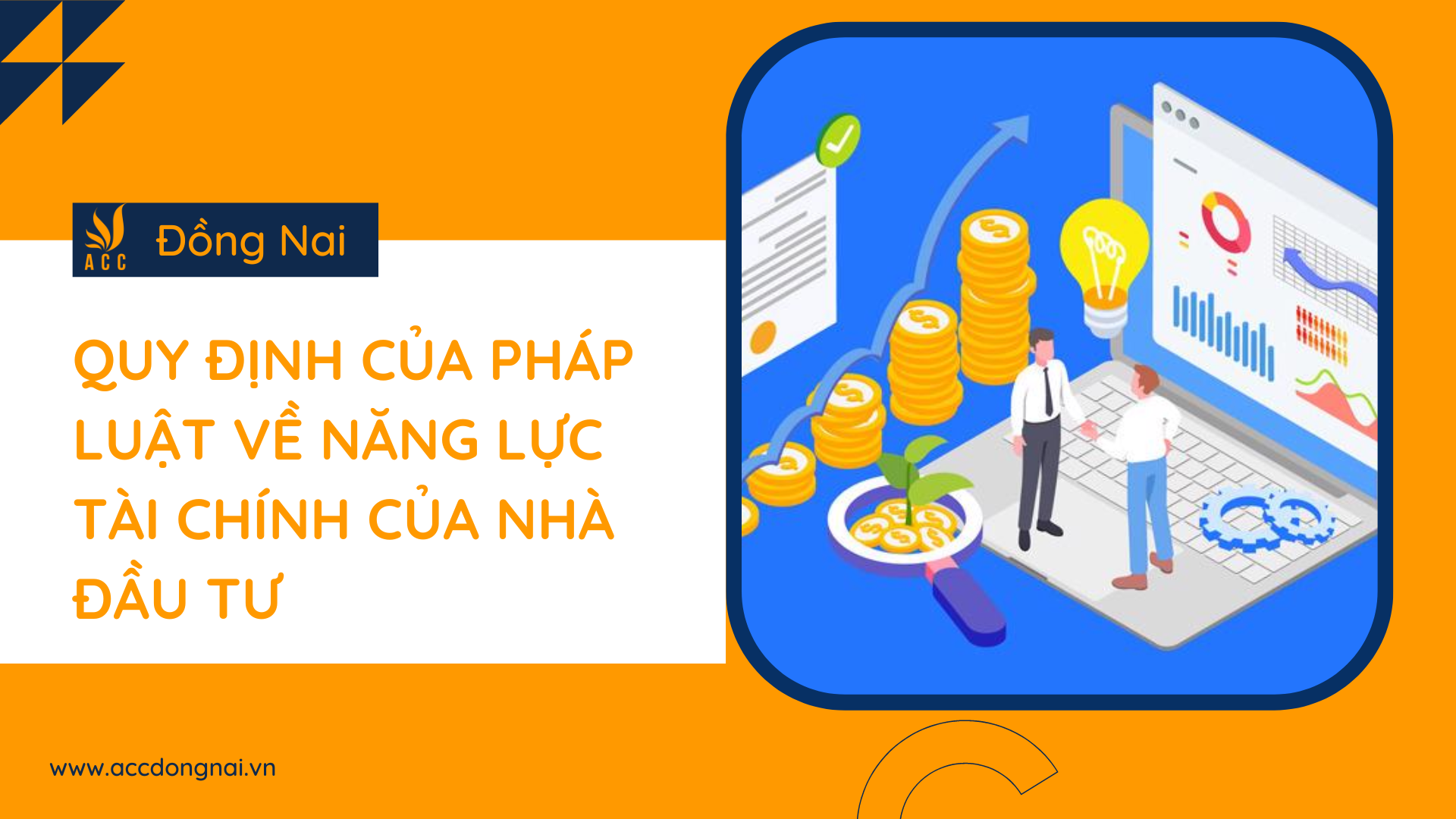 Quy định của pháp luật về năng lực tài chính của nhà đầu tư