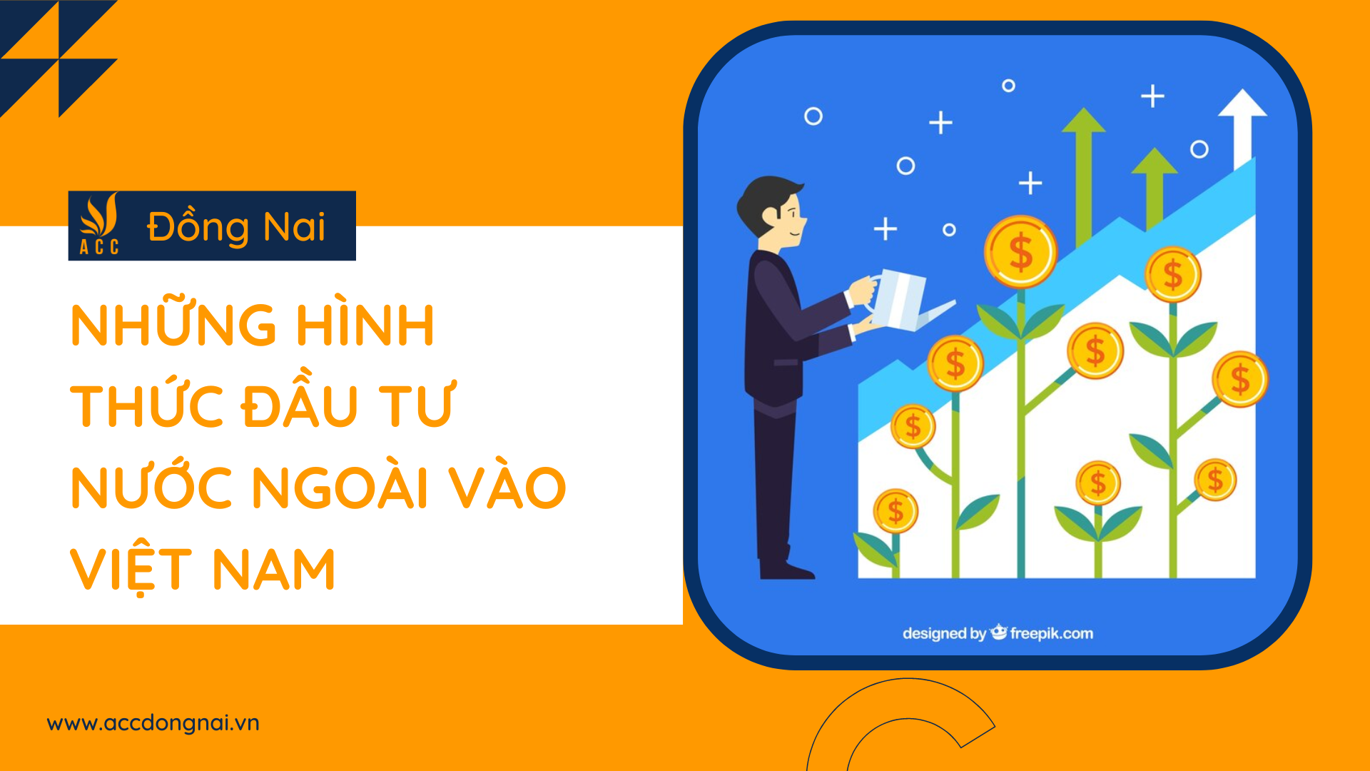 Những hình thức đầu tư nước ngoài vào Việt Nam