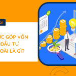 Hình thức góp vốn của nhà đầu tư nước ngoài là gì?