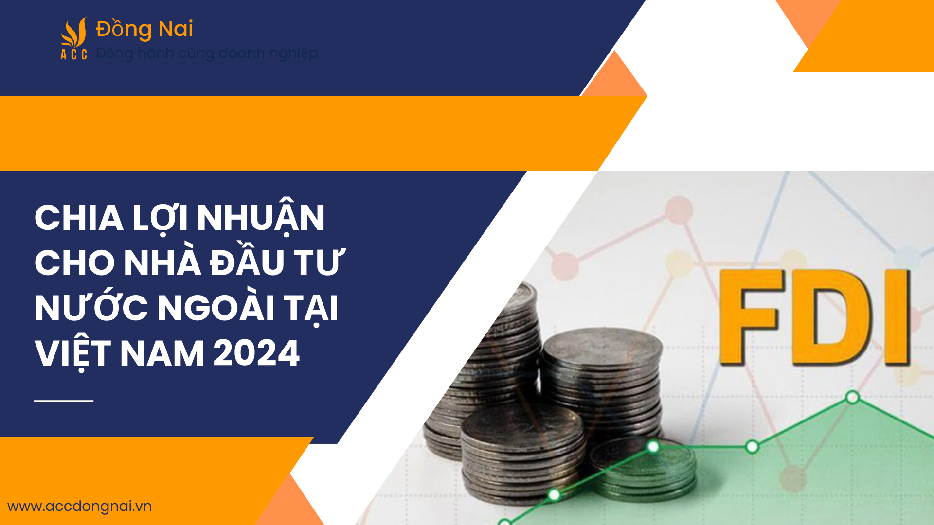 Chia lợi nhuận cho nhà đầu tư nước ngoài tại Việt Nam 2024