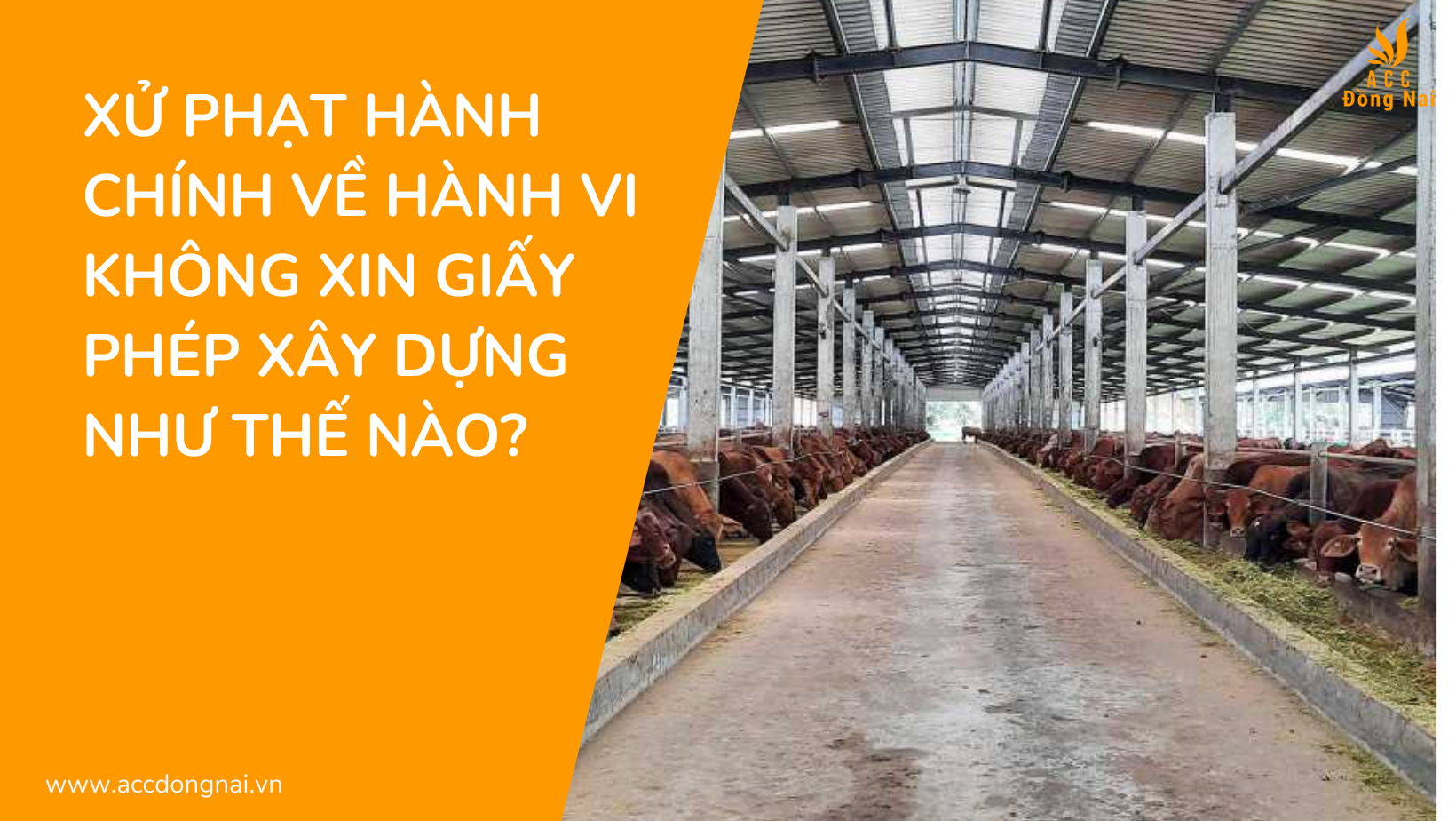 Xử phạt hành chính về hành vi không xin giấy phép xây dựng như thế nào?