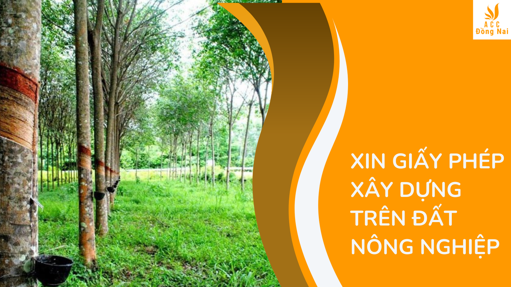 xin giấy phép xây dựng trên đất nông nghiệp