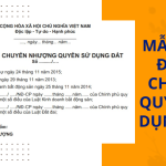 Mẫu hợp đồng chuyển quyền sử dụng đất