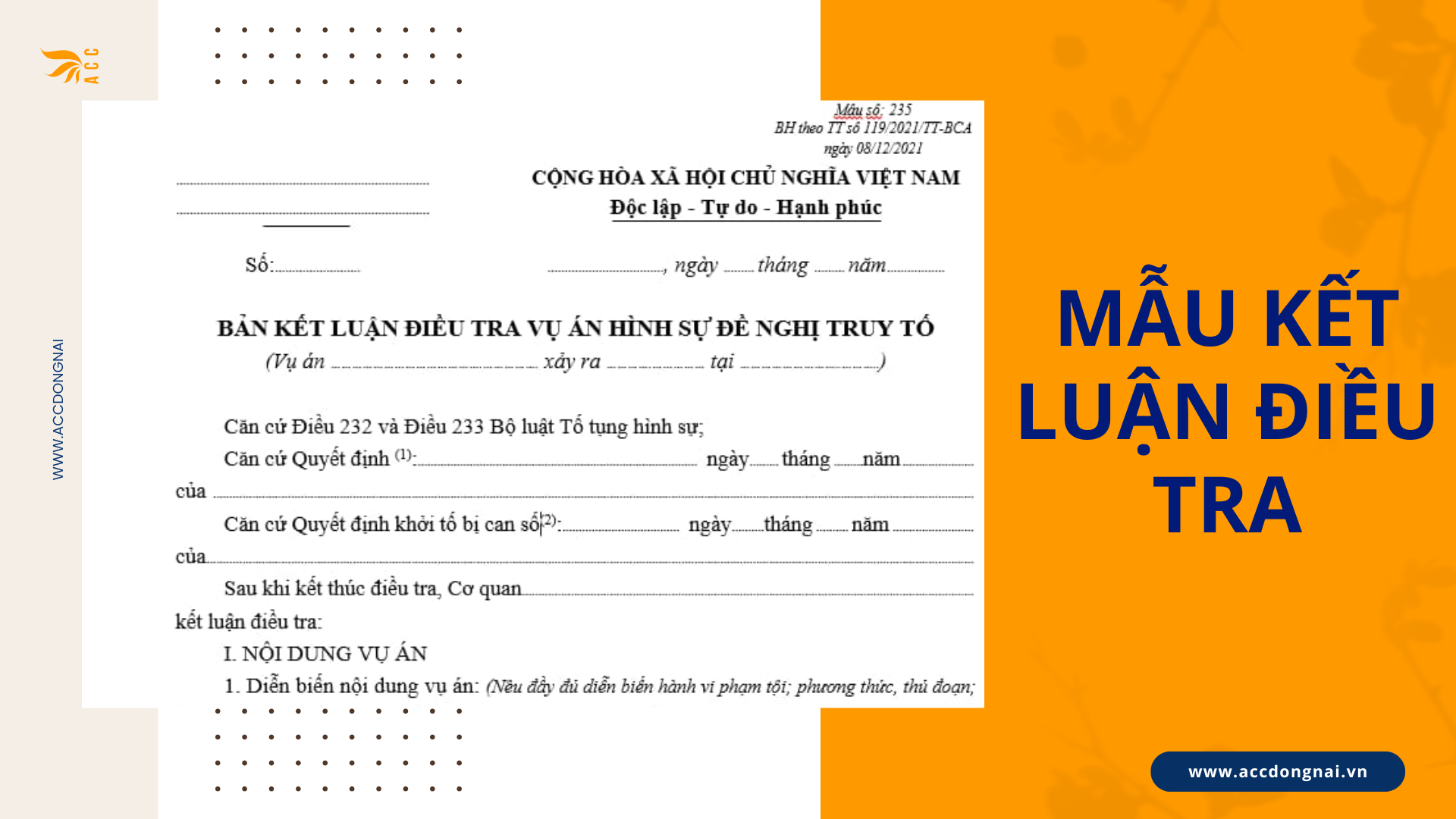 Mẫu kết luận điều tra 