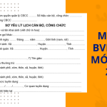 Mẫu 2C BVN/2008 mới nhất 2024