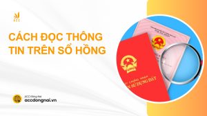 Cách đọc thông tin trên sổ hồng