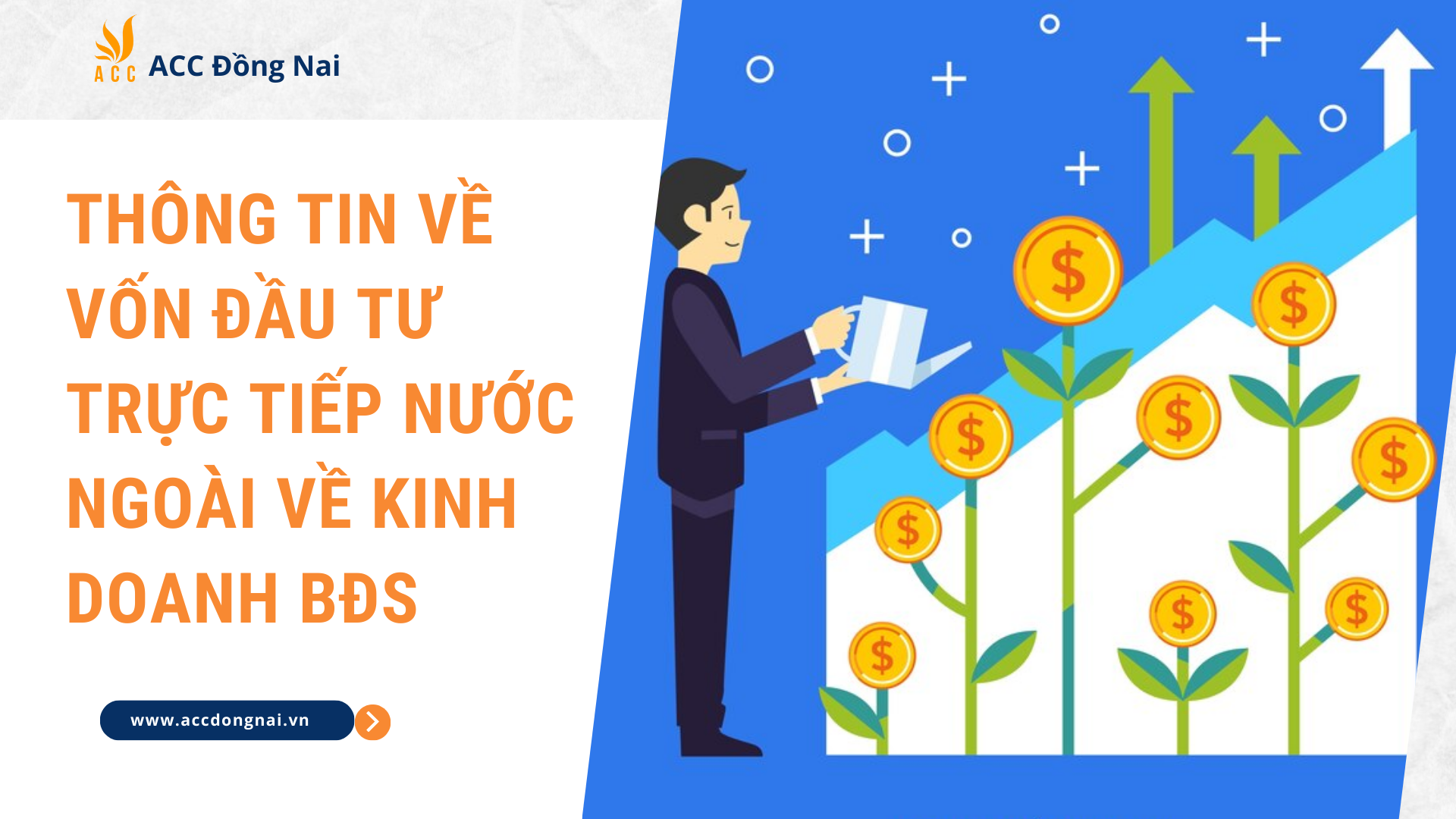 Thông tin về vốn đầu tư trực tiếp nước ngoài về kinh doanh BĐS