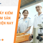 Mẫu giấy kiểm nghiệm sản phẩm hiện nay [2024]