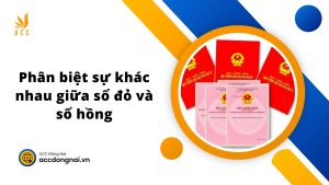 Phân biệt sự khác nhau giữa sổ đỏ và sổ hồng 2024