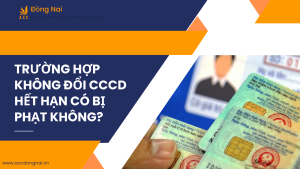 Trường hợp không đổi CCCD hết hạn có bị phạt không?