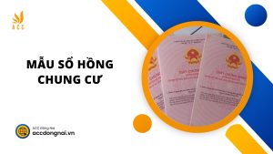 mẫu sổ hồng nhà chung cư