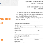 Hợp đồng BCC mẫu