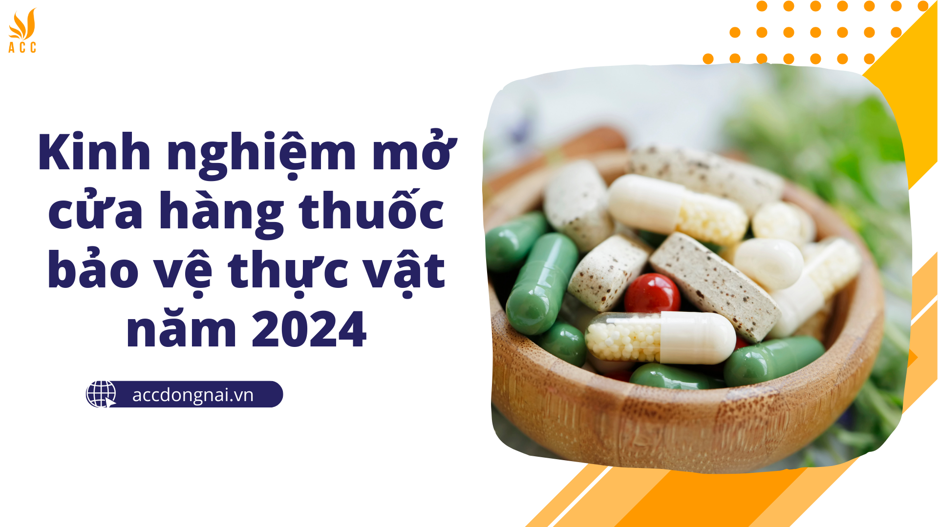 Kinh nghiệm mở cửa hàng thuốc bảo vệ thực vật năm 2024