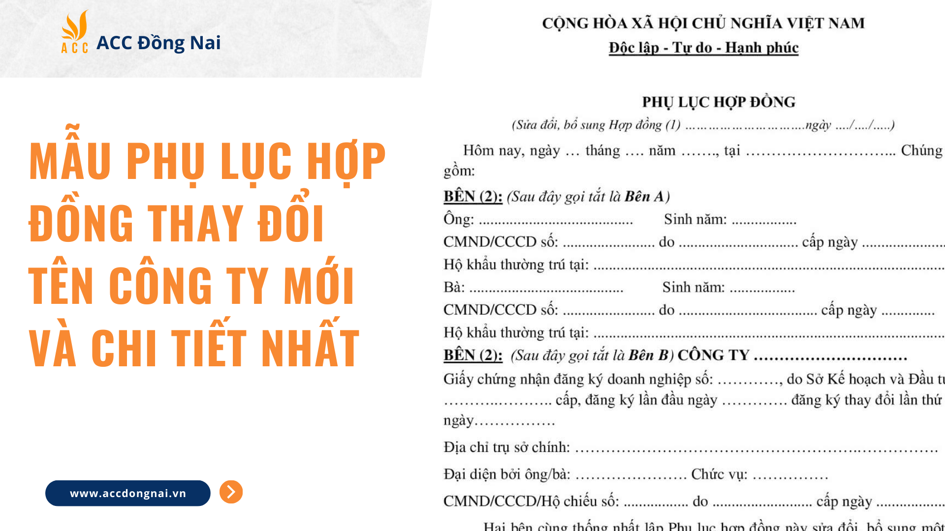 Mẫu phụ lục hợp đồng thay đổi tên công ty mới và chi tiết nhất