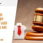 Các bước thành lập công ty Luật tại Đồng Nai chi tiết