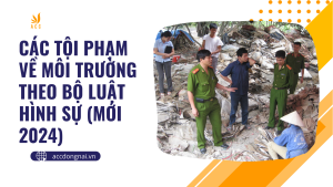 Các tội phạm về môi trường theo Bộ luật Hình sự (Mới 2024)