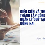 Điều kiện và thủ tục thành lập công ty quản lý quỹ tại Đồng Nai