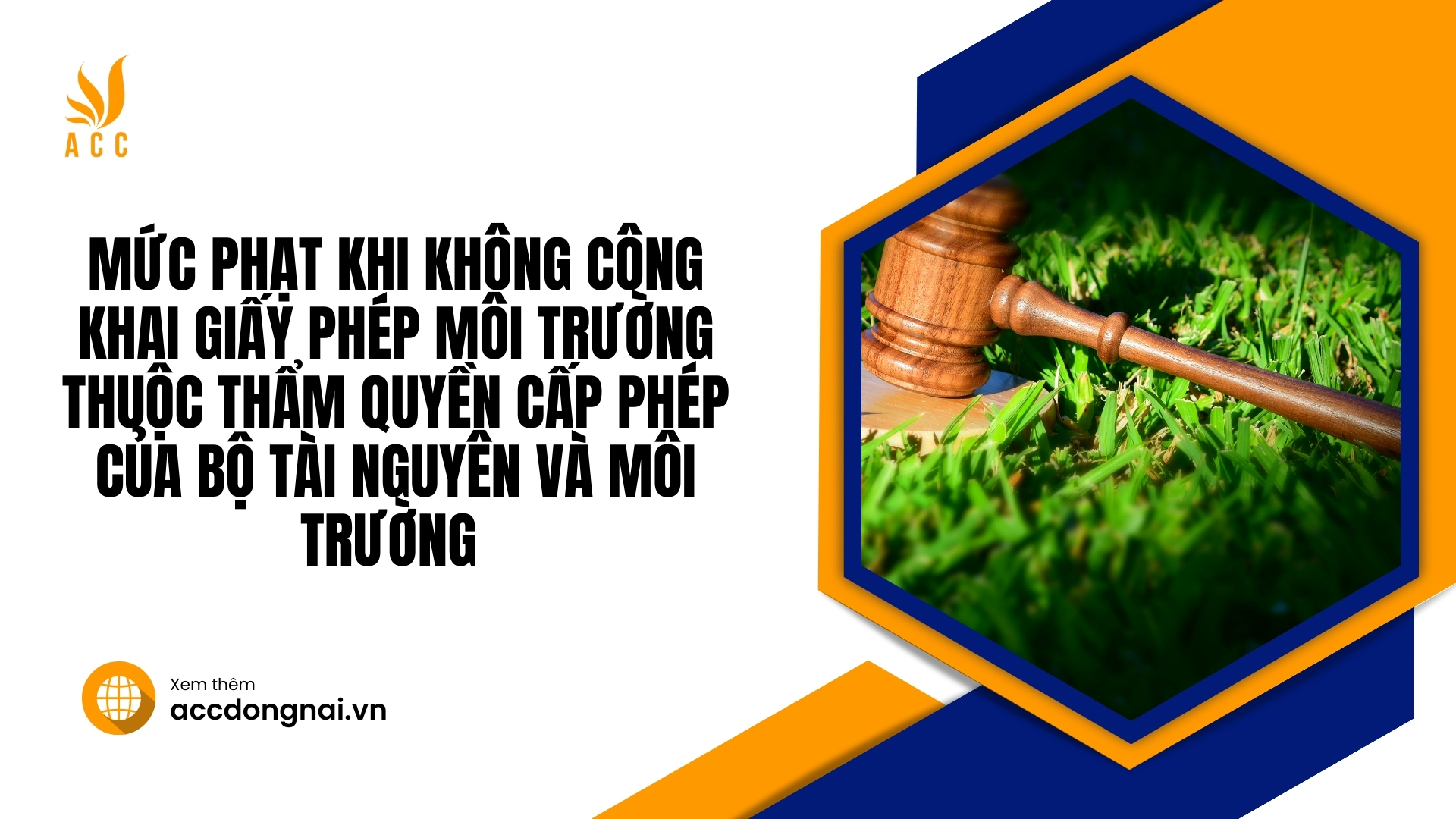 Mức phạt khi không công khai giấy phép môi trường thuộc thẩm quyền cấp phép của Bộ Tài nguyên và Môi trường 