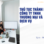 Thủ tục thành lập công ty TNHH thương mại và dịch vụ