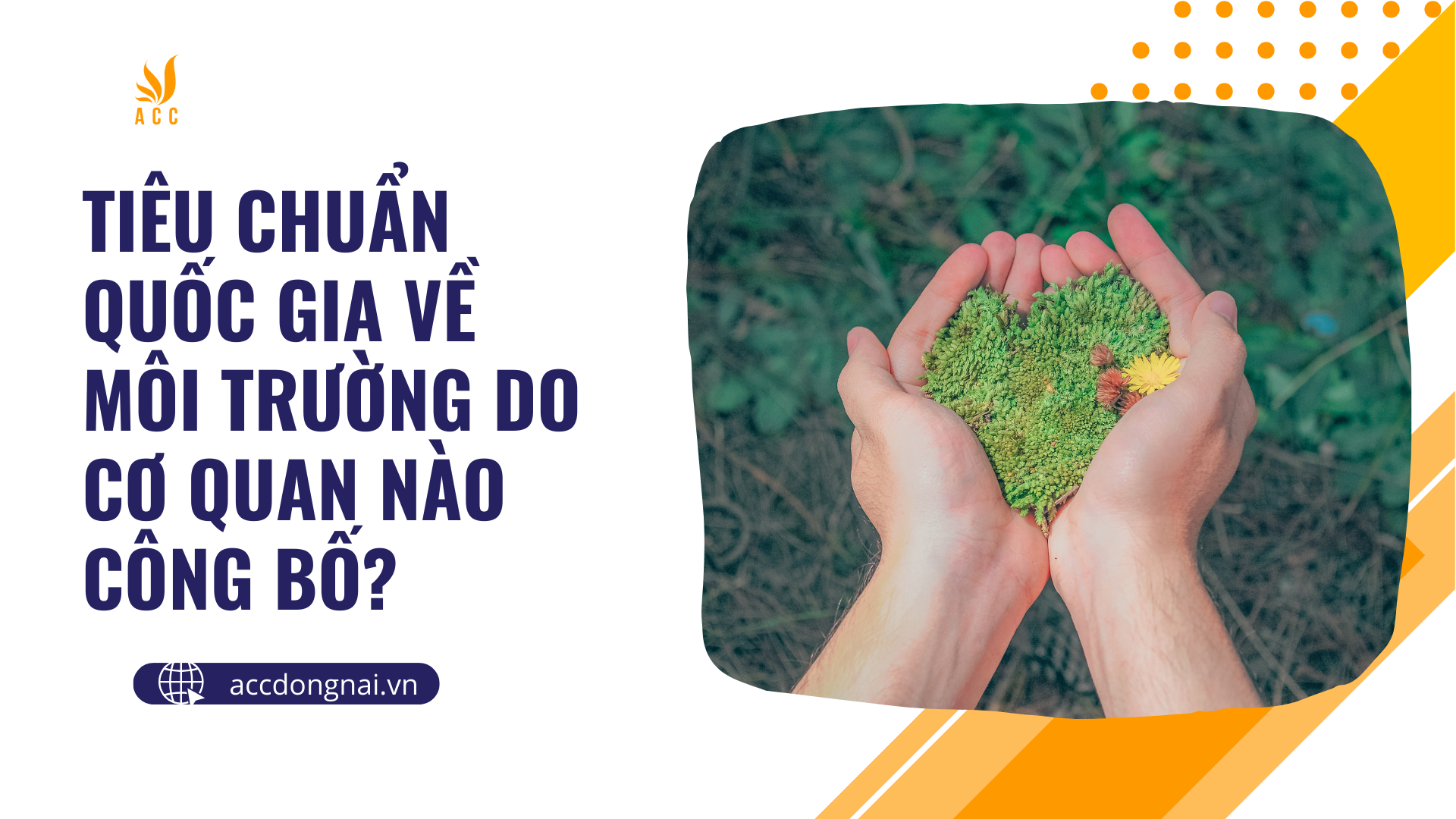 Tiêu chuẩn quốc gia về môi trường do cơ quan nào công bố?