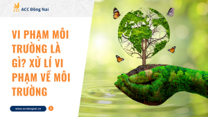 Vi phạm môi trường là gì? Xử lí vi phạm về môi trường