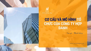 Cơ cấu và mô hình tổ chức của công ty hợp danh