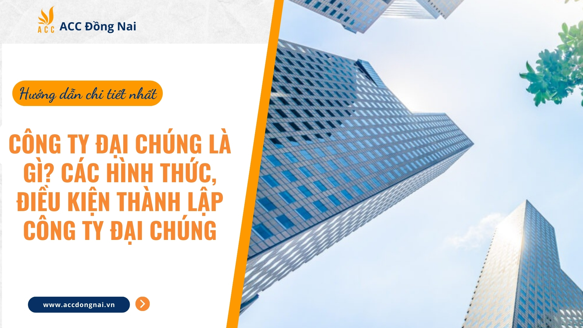 Công ty đại chúng là gì Các hình thức, điều kiện thành lập công ty đại chúng