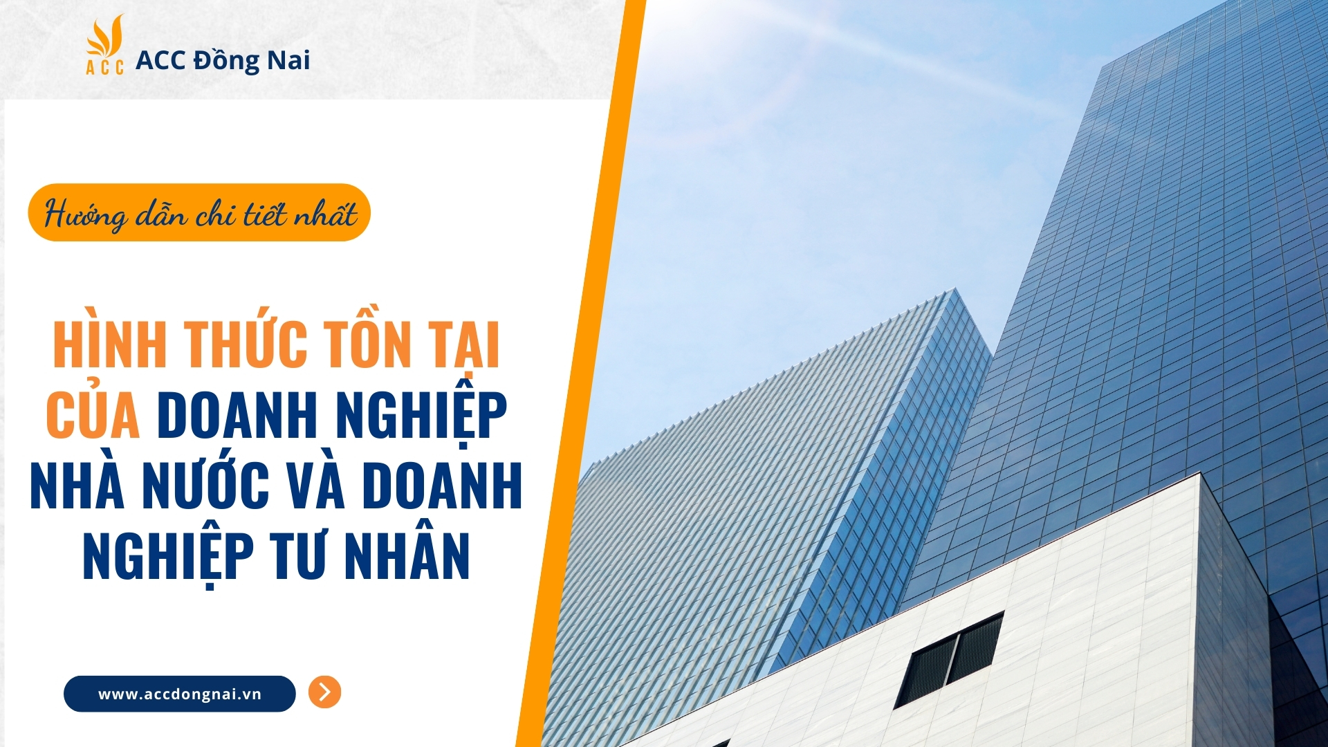 Hình thức tồn tại của Doanh nghiệp Nhà nước và Doanh nghiệp tư nhân