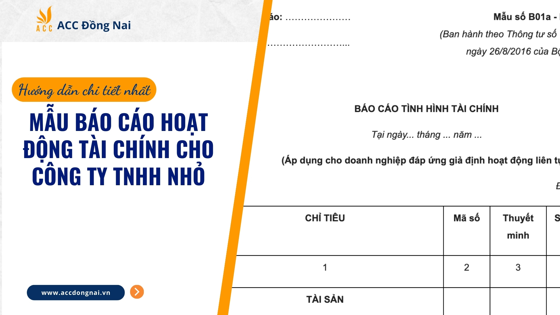 Mẫu báo cáo hoạt động tài chính cho công ty TNHH nhỏ