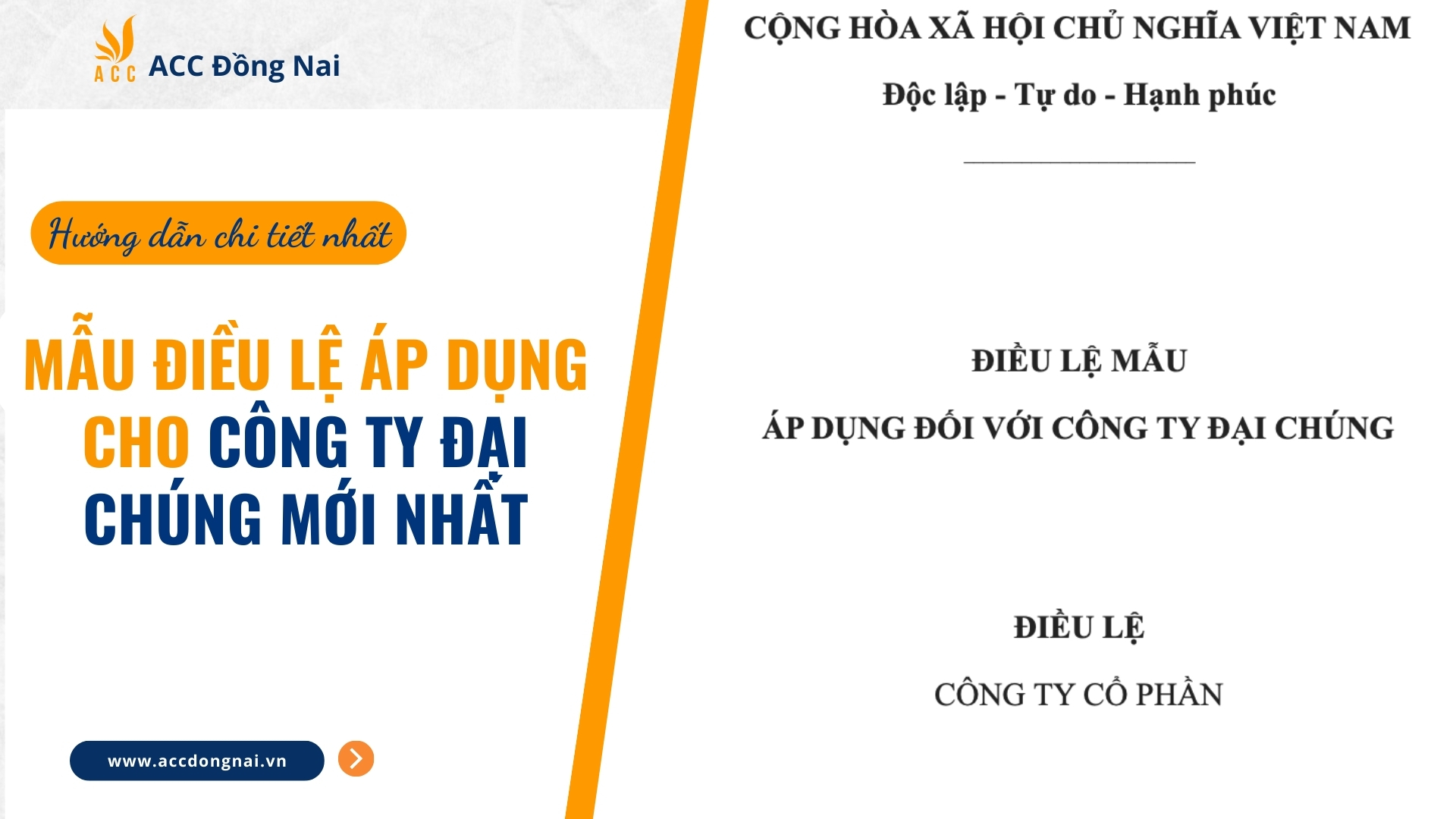 Mẫu điều lệ áp dụng cho công ty đại chúng mới nhất