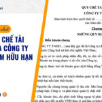 Mẫu quy chế tài chính của công ty Trách nhiệm hữu hạn