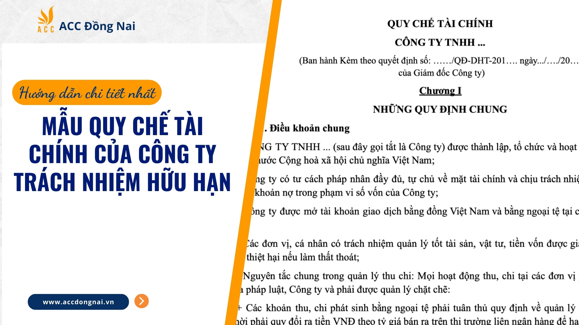 Mẫu quy chế tài chính của công ty Trách nhiệm hữu hạn