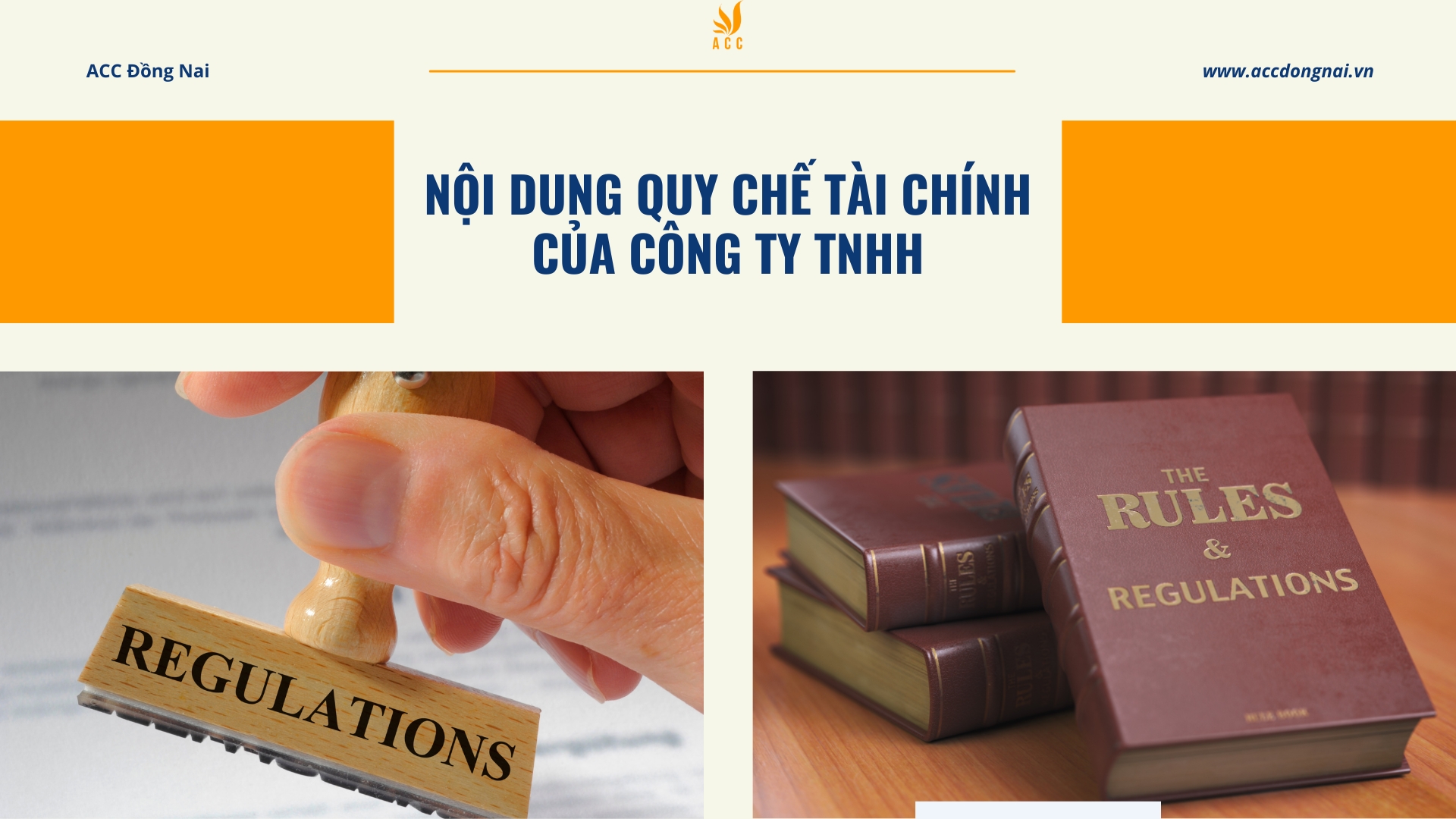 Nội dung quy chế tài chính của công ty TNHH