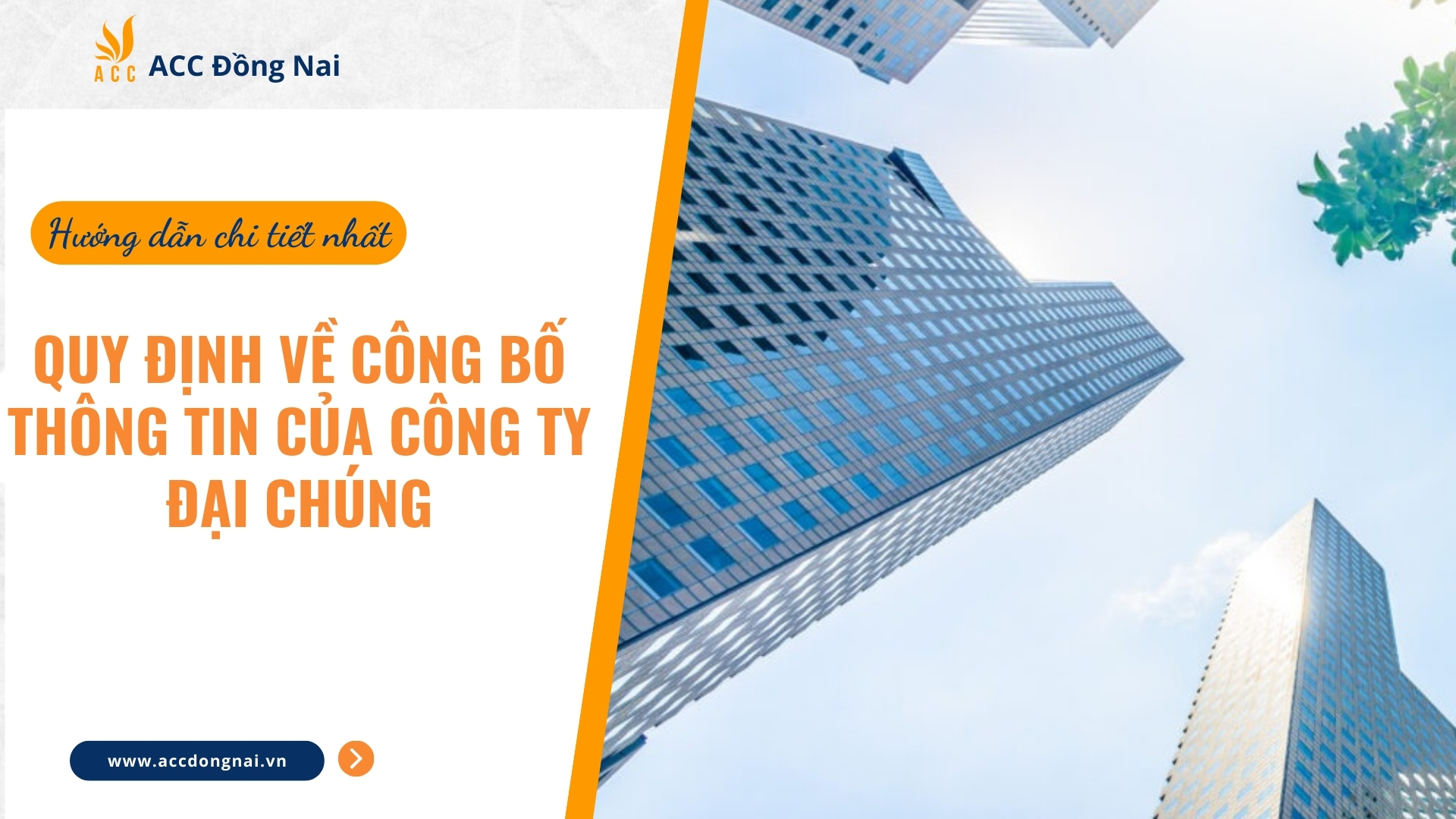 Quy định về công bố thông tin của công ty đại chúng