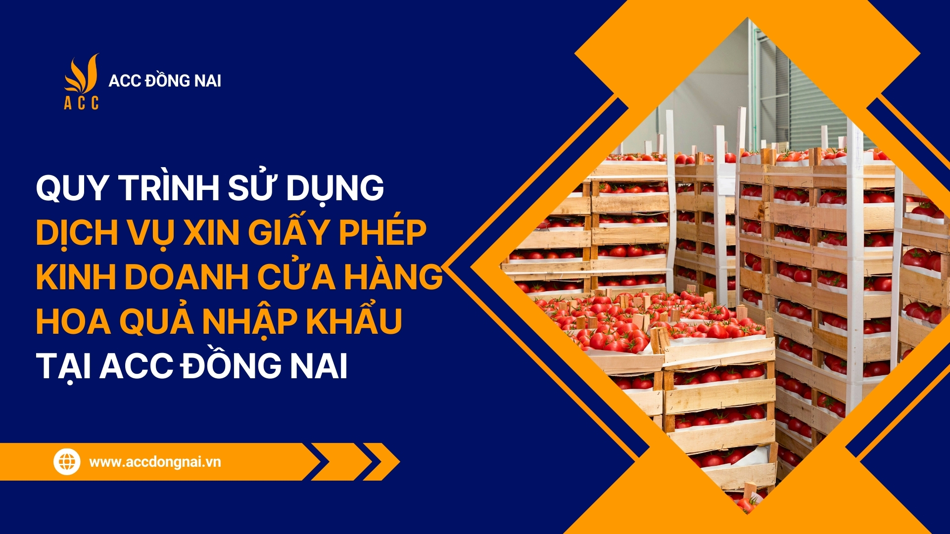 Quy trình sử dụng dịch vụ xin giấy phép kinh doanh cửa hàng hoa quả nhập khẩu tại ACC Đồng Nai